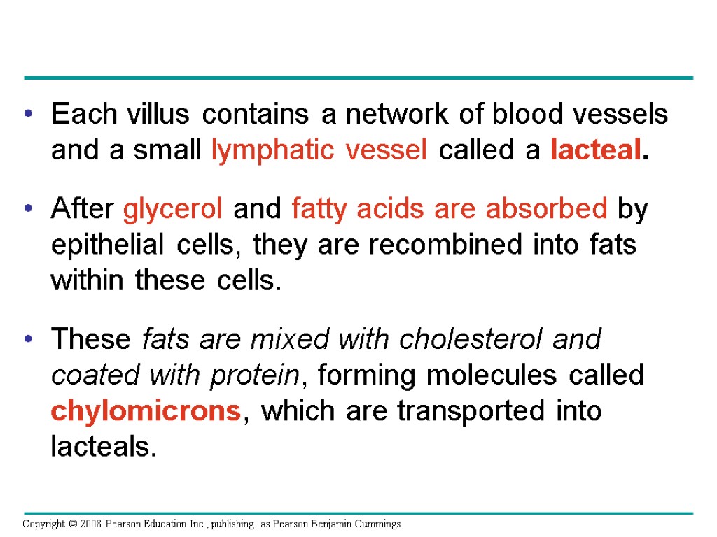 Each villus contains a network of blood vessels and a small lymphatic vessel called